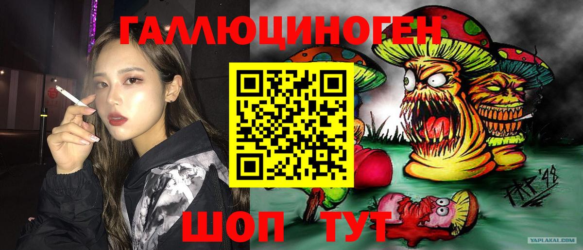 магазин    Галлюциногенные грибы Cubensis  Псилоцибиновые грибы GOLDEN TEACHER  Вход с VPN  Железногорск 