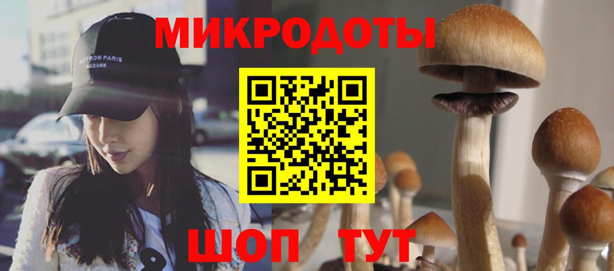 Псилоцибиновые грибы мухоморы Железногорск